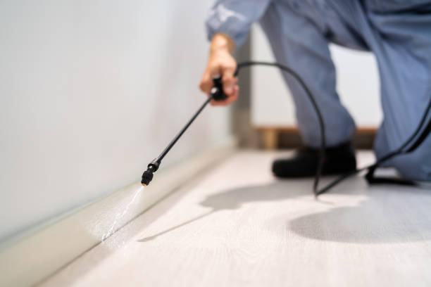 Licensed Termite Control service in Polk City, FL - Show Me Pest Control