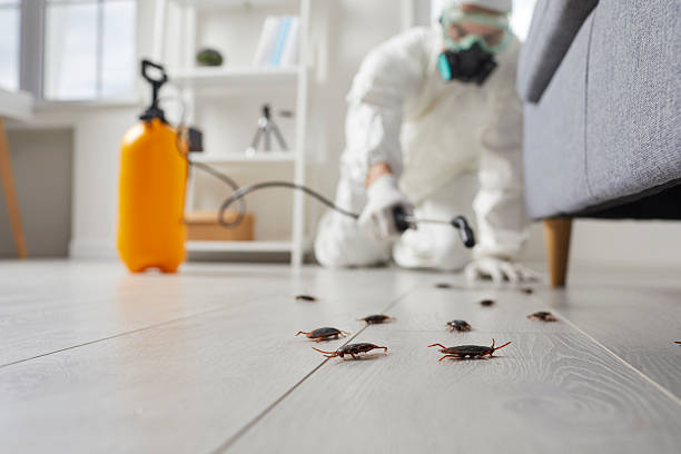 Commercial Kitchen Cockroach Control in Polk City